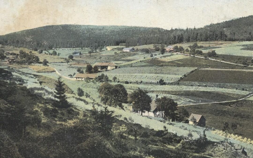 MÍSTA V KRAJI – JELENÍ VRCHY