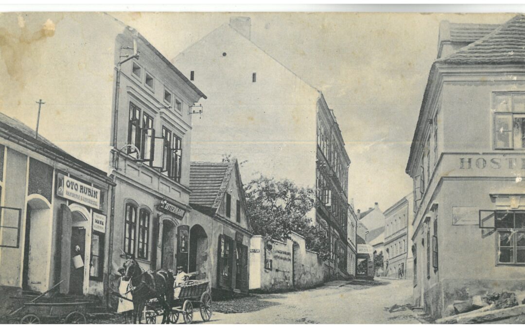 POKOUTNÍ KRUH PRÁCHEŇSKÉ VLASTIVĚDY – HODOUŠKOVÁ, CHVOSTOVÁ A MENČÍKOVÁ